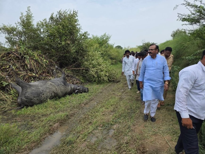 खारी नदी में भैंसों की मौत के बाद सांसद राजकुमार चाहर ने पीड़ित परिवारों को दिया मदद का भरोसा