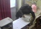 भाजयुमो नेता पर चोरी का मुकदमा, 11 लाख के विवाद के बीच ऑफिस से सामान ले जाने का आरोप