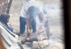 आगरा में चूल्हे की आग पर कुत्ता भूनता दिखा शख्स, वायरल वीडियो ने खड़े किए रोंगटे