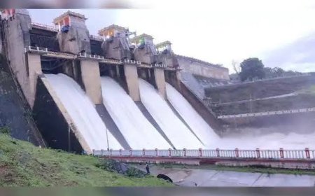 सिंधु संधि पर हेग कोर्ट के फैसले का फायदा उठाने की कोशिश करेगा पाक,  भारत ने पहले ही कमजोर कर दी धार, कोर्ट को बताया गैरकानूनी