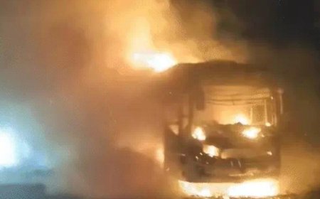 यमुना एक्सप्रेसवे पर चलती स्लीपर बस बनी आग का गोला, 9 जिंदा जले, खिड़कियां तोड़कर बचाई जान