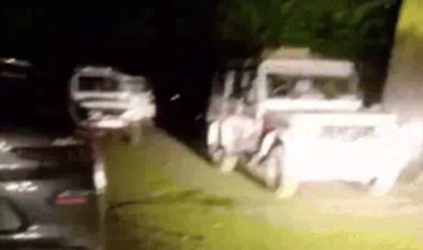 झरना नाले के जंगल में मिला महिला का शव, सिर पर चोट के निशान से सनसनी