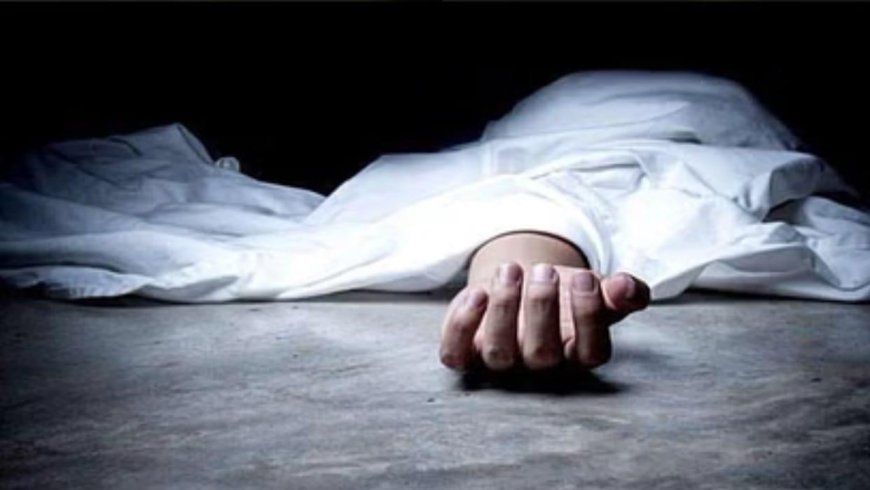 फलों के बकाये पैसे को लेकर खूनी विवाद, ठेल वाले की मौत, दो आरोपी गिरफ्तार