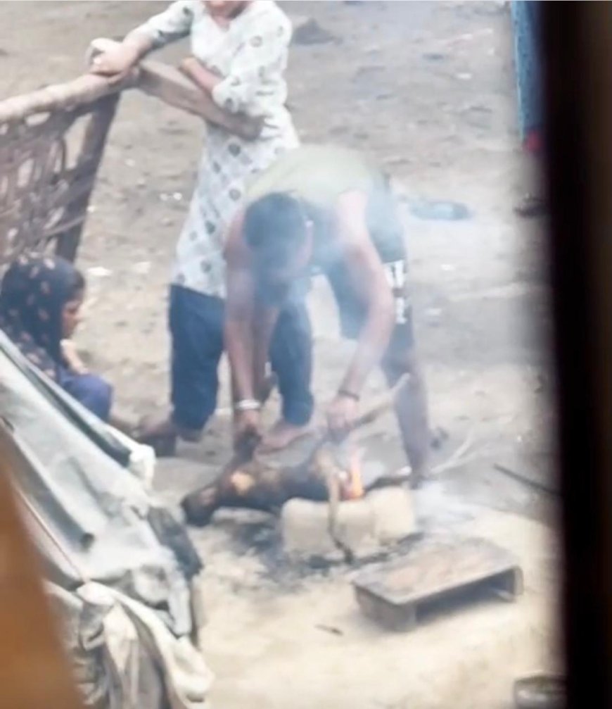 आगरा में चूल्हे की आग पर कुत्ता भूनता दिखा शख्स, वायरल वीडियो ने खड़े किए रोंगटे