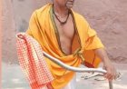 ताज के गार्डन में निकला सांप, पर्यटकों में मचा हड़कंप, रेस्क्यू कर जंगल में छोड़ा