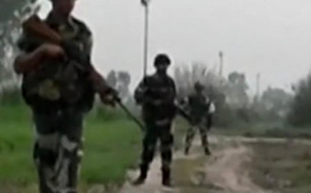तरनतारन सीमा पर दो मौतों से भारत-पाक में फिर तनाव, पाकिस्तान ने भारतीय राजनयिक को तलब किया