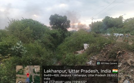 आगरा में सिकंदरा रजवाह और संरक्षित वन उजाड़ने का मामला एनजीटी पहुंचा, यूपी सरकार समेत 12 प्रतिवादियों को नोटिस