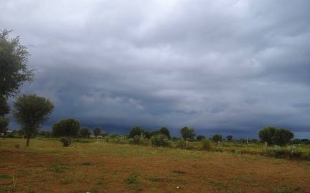 बरेली में गुलाबी सर्दी की दस्तक, बादलों और तेज हवाओं ने बदला मौसम