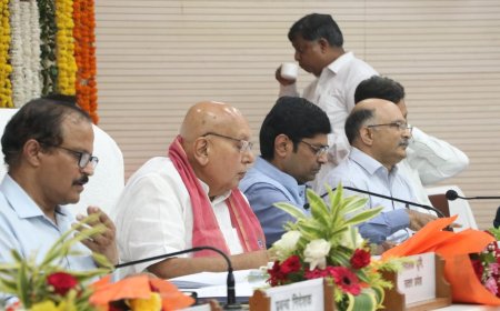सरसों उत्पादन 40 लाख मीट्रिक टन करने का लक्ष्य, किसानों को मिलेगा मुफ्त बीज