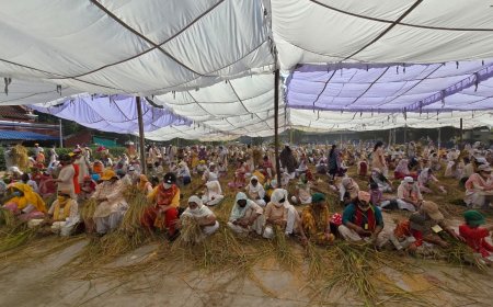 दयालबाग में गुरु महाराज साहब के भंडारे में धान की कटाई से प्रीतिभोज तक सेवा में जुटी रही संगत, प्रातः आरती में दो विशेष पाठ और सांस्कृतिक कार्यक्रम, प्रेमनगर वेंटेज पॉइंट पर गुरु महाराज के दर्शन कर भावविभोर हुए सतसंगी