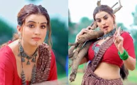 जेन जी पर भड़कीं अक्षरा सिंह,  बोलीं-  लड़कियों को जलील करते हो,  शर्म नहीं आती,  बिहार का नाम रोशन करो