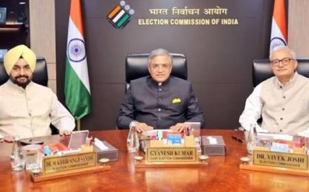दो चुनाव आयुक्तों की शिकायत पर कार्रवाई नहीं,  कैबिनेट सचिवालय ने कहा- ये पत्र निजी क्षमताओं से भेजे गए थे,  आरटीआई में खुलासा