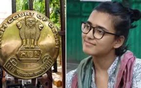 नेहा बोरा को दिल्ली हाई कोर्ट से लगा झटका,   खारिज की याचिका,   एसईएम के नोटिस को दी थी चुनौती