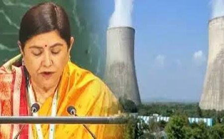 दुनिया को मिलेगा भारत की न्यूक्लियर टेक्नोलॉजी का फायदा,   यूएनजीए में भारत का बड़ा ऐलान,  कई देशों ने कहा - शुक्रिया