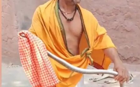 ताज के गार्डन में निकला सांप, पर्यटकों में मचा हड़कंप, रेस्क्यू कर जंगल में छोड़ा