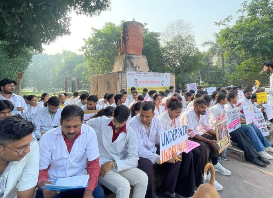 आईवीआरआई के 150 से ज्यादा पशु चिकित्सा छात्र सड़क पर उतरे, 12 महीने की इंटर्नशिप के लिए मांगा 25 हजार रुपये स्टाइपेंड