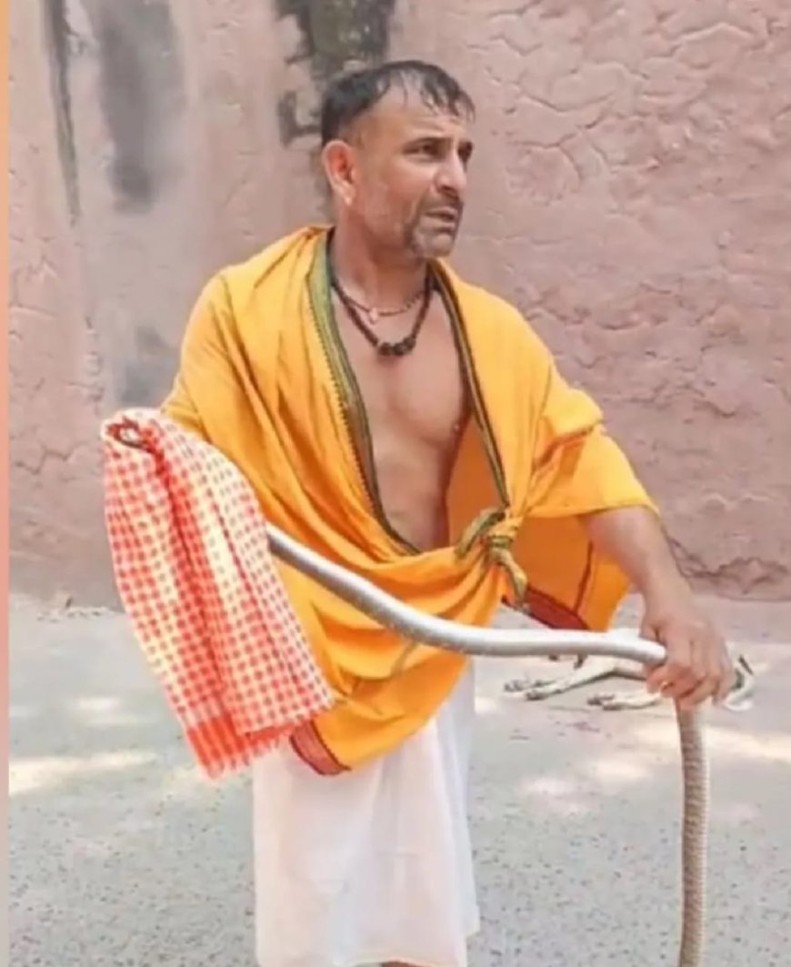 ताज के गार्डन में निकला सांप, पर्यटकों में मचा हड़कंप, रेस्क्यू कर जंगल में छोड़ा